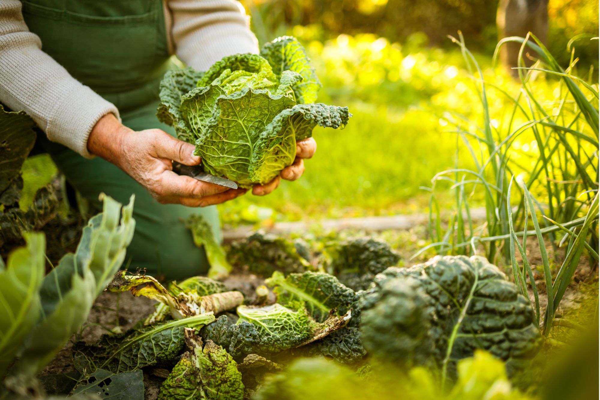 femme épanouie transformer et renaitre